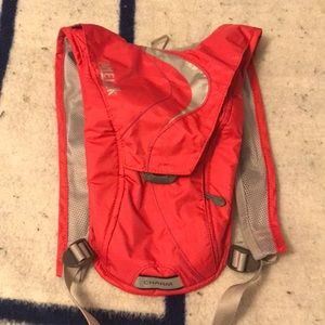 Hot pink camelback charm bag